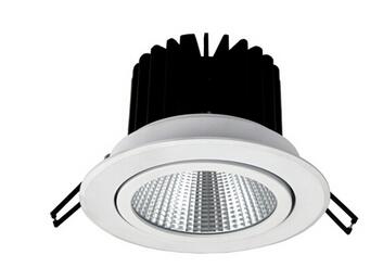 宜賓LED 12W COB嵌燈 可調(diào)角度 開孔100mm